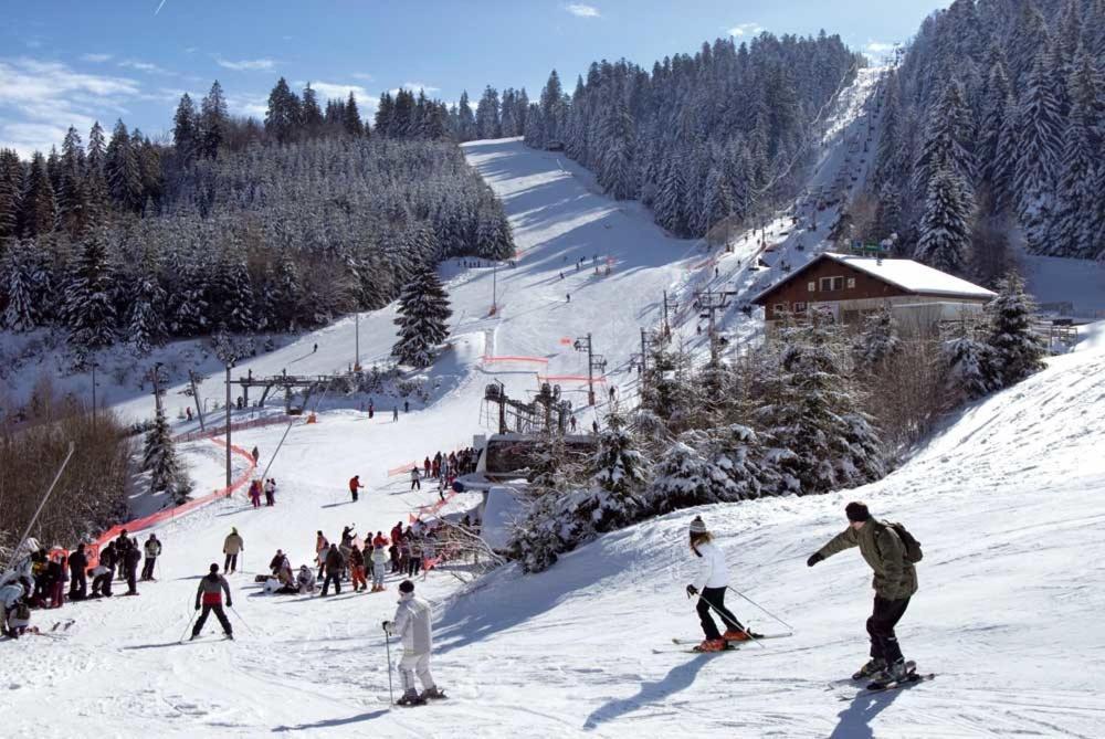 Au Chalet D'Aline - Atypique Pour 4 Personnes Villa Gérardmer Exterior foto