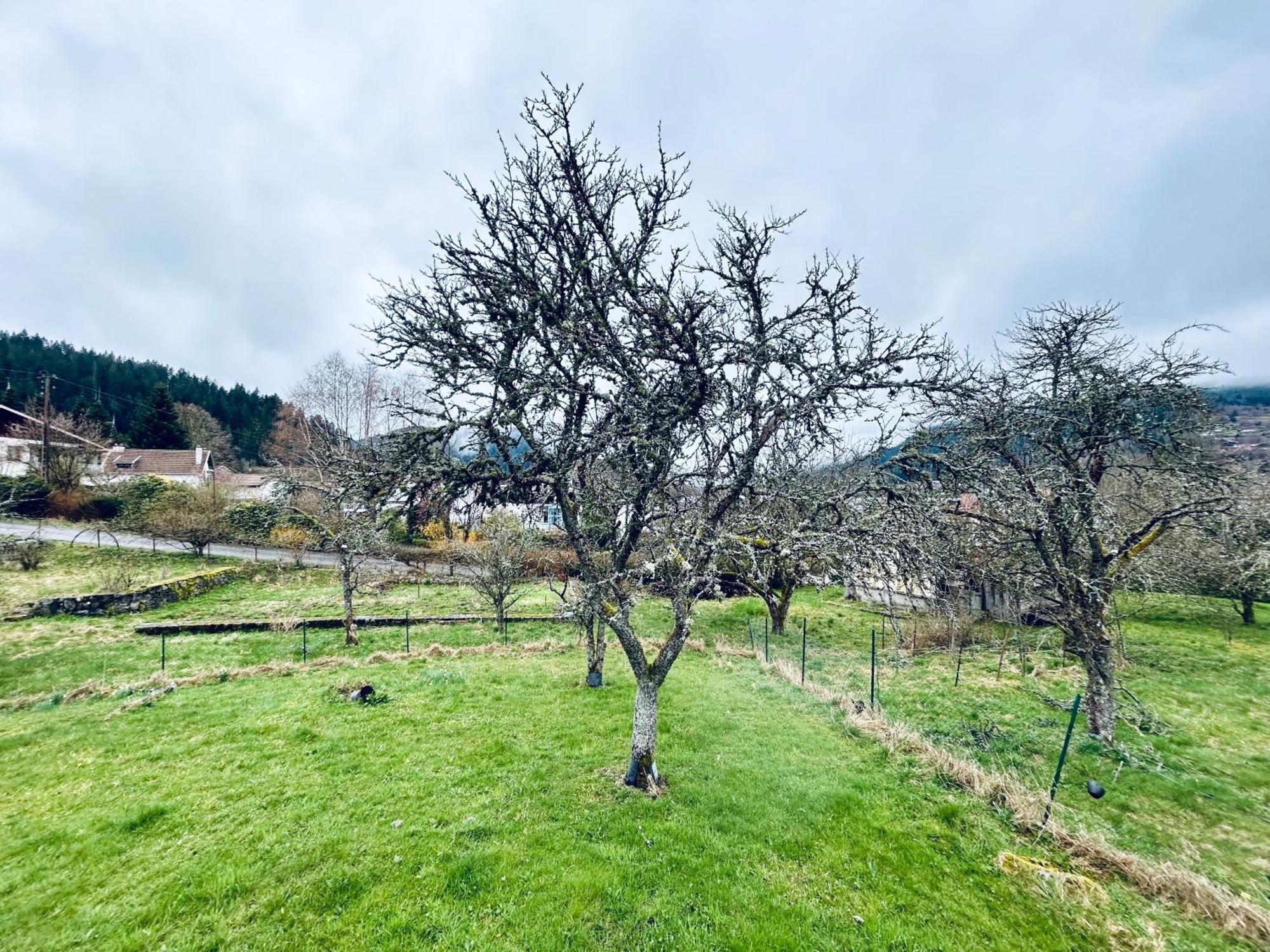 Au Chalet D'Aline - Atypique Pour 4 Personnes Villa Gérardmer Exterior foto